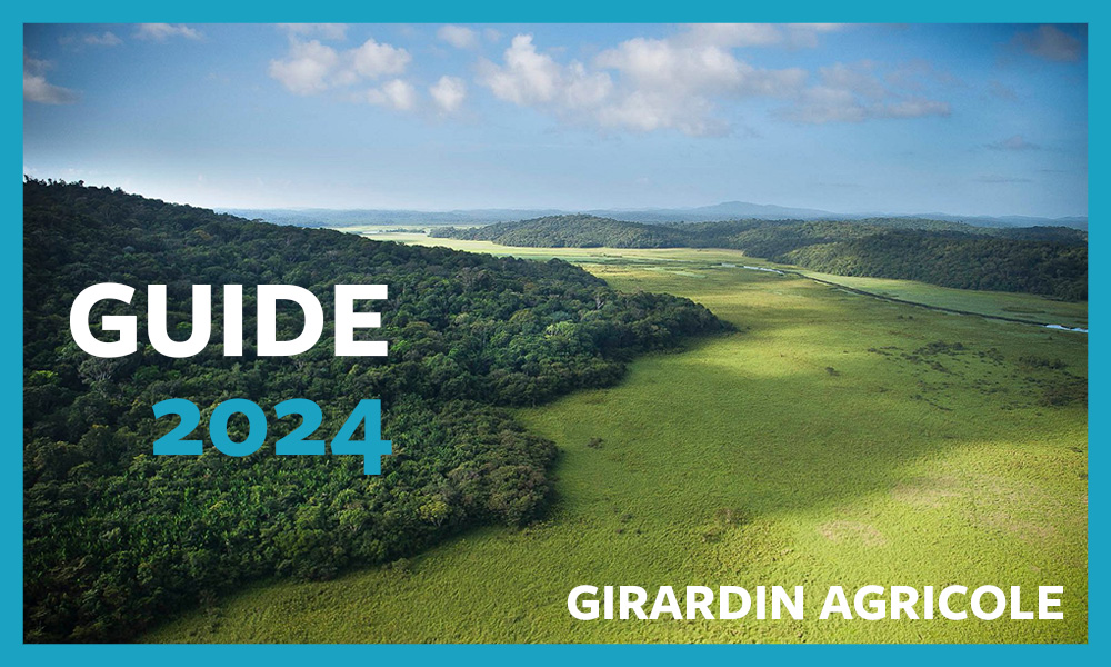 guide 2024