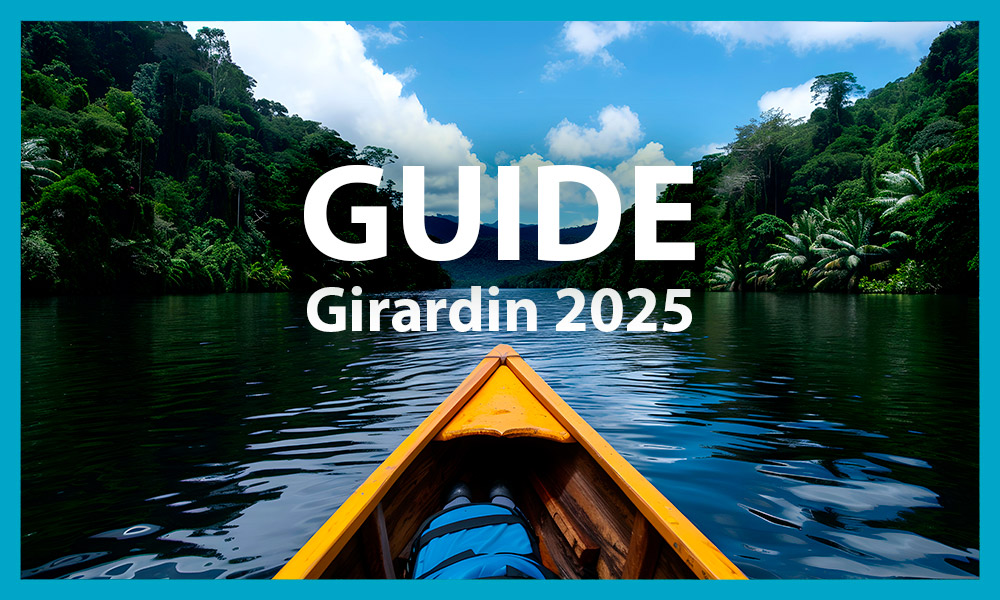 déclaration girardin 2025