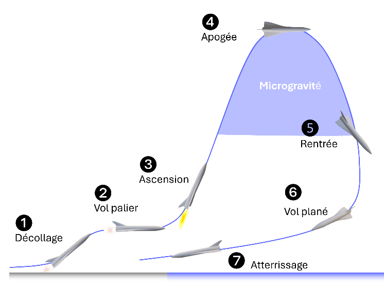 schema AndroMach
