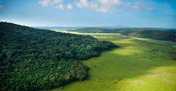 Paysage Guyanais