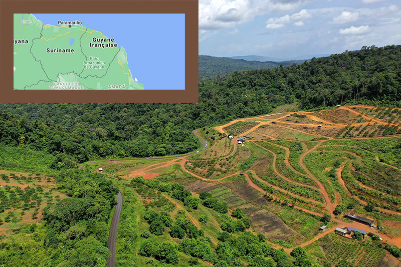 Photo de la Guyane