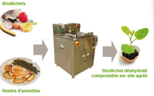 Bio déchets déshydratés 