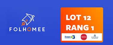 Miniature folhomee lot 12