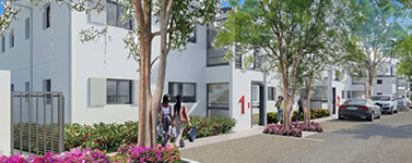 Ixora min