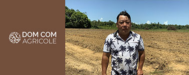 Miniature dom com 671