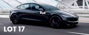 Serenity lot 17 miniature