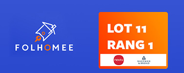 Miniature folhomee lot 11